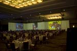 Megavision Arts CNB